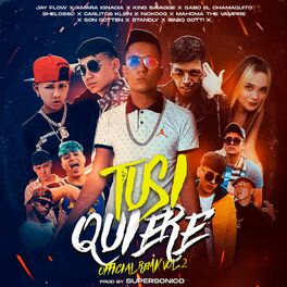 Album cover of Tusi Quiere Vol 2 (feat. Amara Ignacia, King Savagge, Shelo, Nickoog clk, Standly, Carlitos Klein & Gabo El Chamaquito)