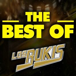 Album cover of THE BEST OF