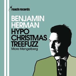 Album cover of Hypochristmastreefuzz (Live at North Sea Jazz)