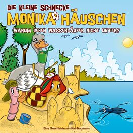 Album cover of 56: Warum gehen Wasserläufer nicht unter?