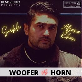 Album cover of Woofer vs Horn