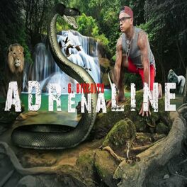 Album picture of Adrenaline