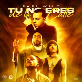 Album cover of Tu No Eres De La Calle