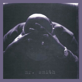 Album cover of Mr. Smith (Deluxe Edition)