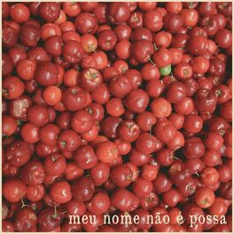 Album cover of Meu Nome Não É Possa