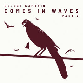 Album cover of Comes in Waves, Pt. 2