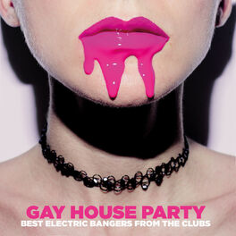 Gay House Party