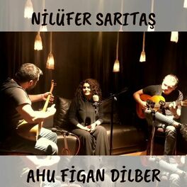 Album cover of Ahu Figan Dilber