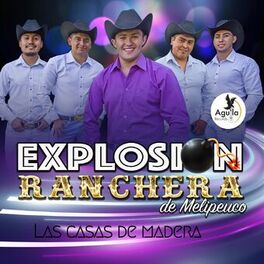 Album cover of Las Casas de Madera