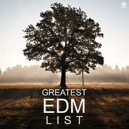 Album cover of Greatest EDM List