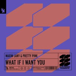 Album cover of What If I Want You