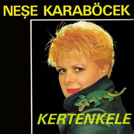Album cover of Kertenkele