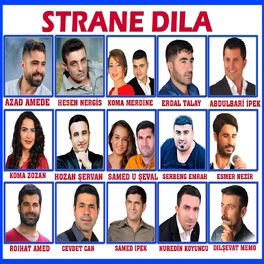 Album cover of Strane Dıla