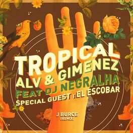 Album cover of Tropical (J Burce Remix)