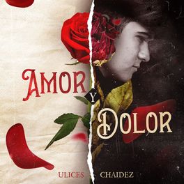 Album cover of Amor y Dolor (En Vivo)