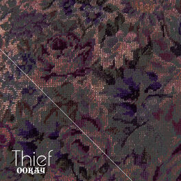 Album cover of Thief