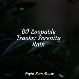 Album cover of 60 Loopable Tracks: Serenity Rain