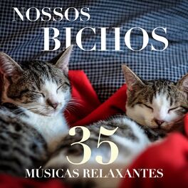 Album cover of Nossos Bichos - 40 Musicas Relaxantes para Acalmar os Nossos Cães e Gatos