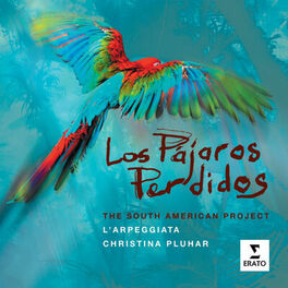 Album cover of Los Pajaros Perdidos