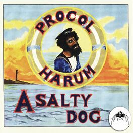 Album cover of A Salty Dog (2009 Remaster)