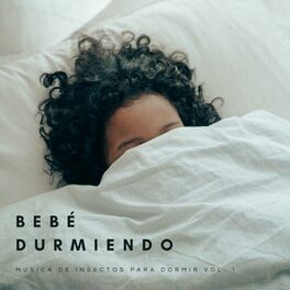 Album cover of Bebé Durmiendo: Música De Insectos Para Dormir Vol. 1