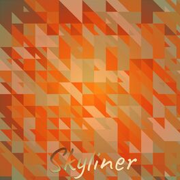 Album cover of Skyliner