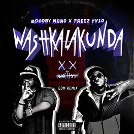 Album cover of WASHKALAKUNDA (EDM Remix)