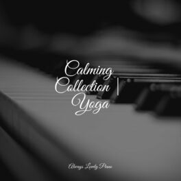Album cover of Calming Collection | Yoga