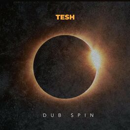 Album cover of Dub Spin