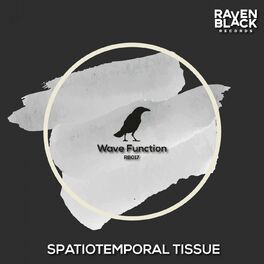 Album cover of Spatiotemporal Tissue