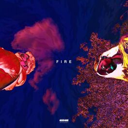 Album cover of Fire