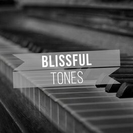 Album cover of Blissful Tones