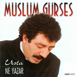Album cover of Usta (Ne Yazar)