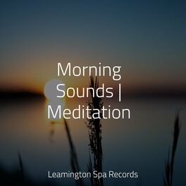 Album cover of Morning Sounds | Meditation