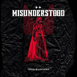 Album cover of Misunderstood (feat. Luciano)