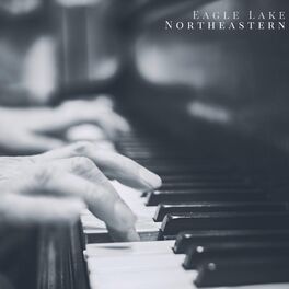 Album cover of Northeastern