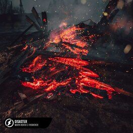 Album cover of Disaster