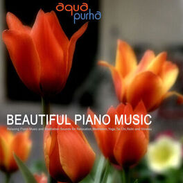Album cover of Beautiful Piano Music - Relaxing Piano Music and Meditation Sounds for Relaxation,Meditation,Yoga,TaiChi,Reiki and Shiatsu