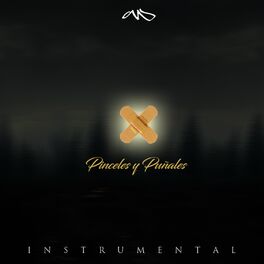 Album cover of Pinceles y Puñales (Instrumentals)