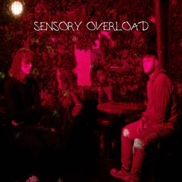 Album cover of sensory overload