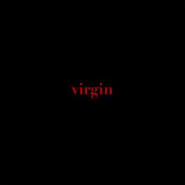 Album cover of virgin