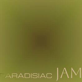 Album cover of Paradisiac Jam