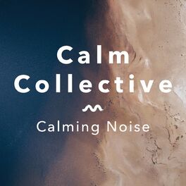 Album cover of Calming Noise