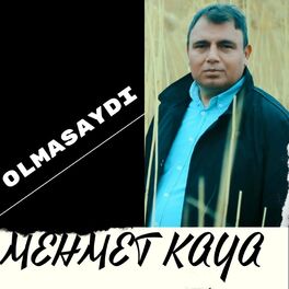 Album cover of OLMASAYDI