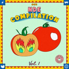 Album cover of NDE Compilation 002 Vol.1