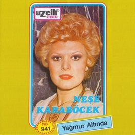 Album cover of Yağmur Altında