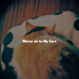 Album cover of Meow-sic to My Ears