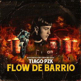 Album picture of Flow de Barrio