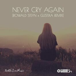 Album cover of Never Cry Again (Rowald Steyn & Gustixa Remix)