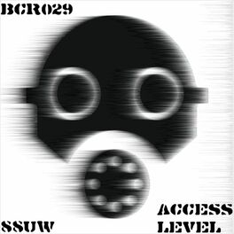 Album cover of Access Level